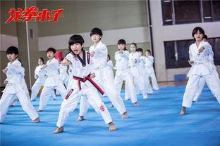 龙拳小子图片,少年英雄的武术传奇