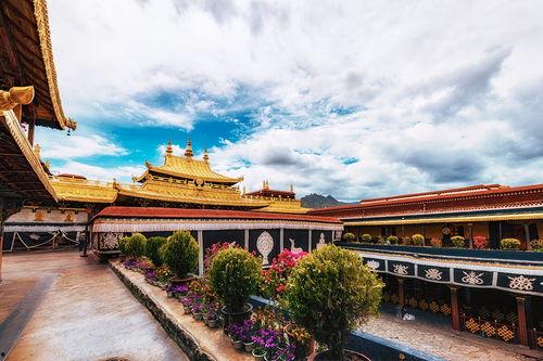 大昭寺朝拜图片,千年古刹的虔诚与信仰
