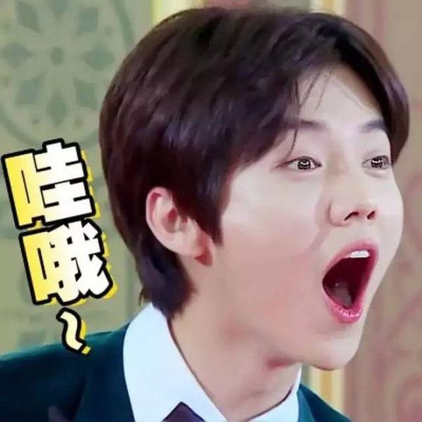 鹿晗超搞笑表情包