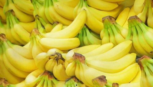 野生厨房 香蕉娱乐